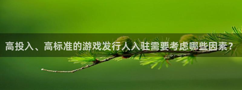 db电竞电子商务怎么样：高投入、高标准的游戏发行人入驻需要考虑哪些因素？