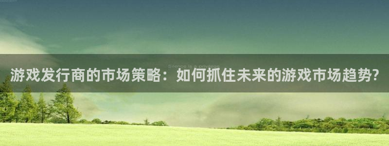 南京db电竞子电子商务有限公司：游戏发行商的市场策略：如何抓住未来的游戏市场趋势?