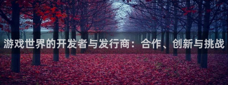 db电竞官网登录注册失败怎么回事：游戏世界的开发者与发行商：合作、创新与挑战