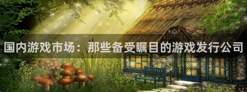 陕西db电竞子文化创意骗局：国内游戏市场：那些备受瞩目的游戏发行公司
