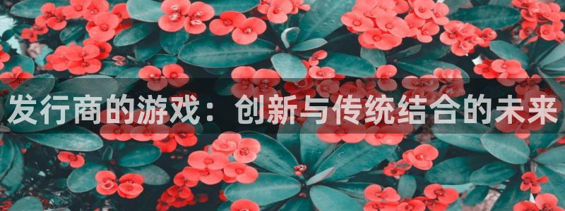 db电竞官网注册平台怎么样：发行商的游戏：创新与传统结合的未来