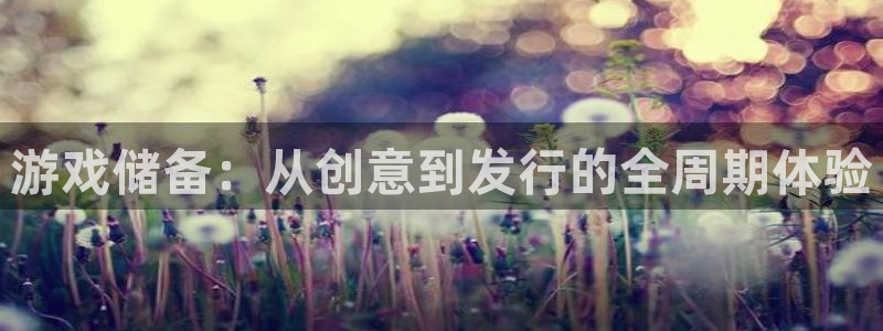 db电竞户外：游戏储备：从创意到发行的全周期体验