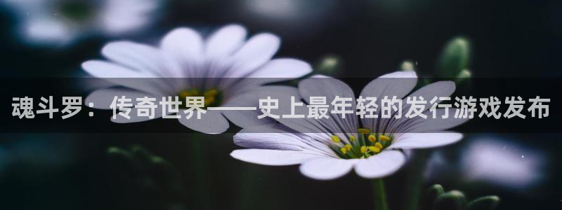 db电竞子年度最佳图书：魂斗罗：传奇世界——史上最年轻的发行游戏发布