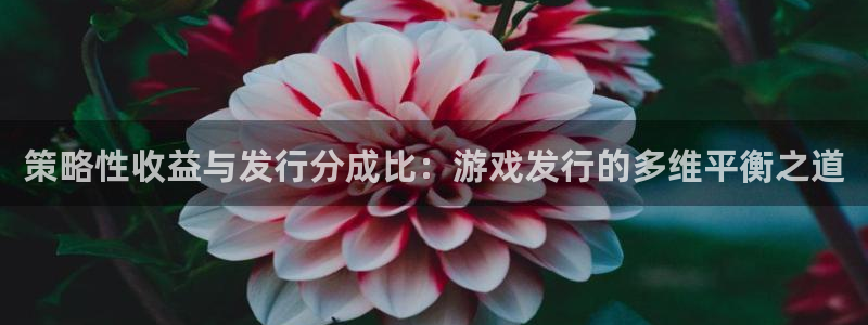 db电竞官网注册方法有哪些呢：策略性收益与发行分成比：游戏发行的多维平衡之道