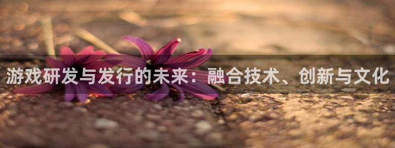 db电竞官网注册登录不了：游戏研发与发行的未来：融合技术、创新与文化
