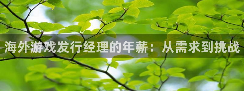 db电竞子寓意：海外游戏发行经理的年薪：从需求到挑战