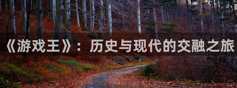 顺德db电竞电商：《游戏王》：历史与现代的交融之旅