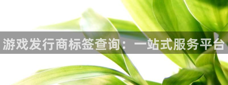 陕西db电竞子文化创意是干什么的：游戏发行商标签查询：一站式服务平台