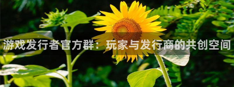 db电竞子出版社