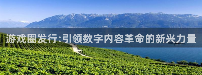 db电竞官网注册平台怎么注册不了：游戏圈发行:引领数字内容革命的新兴力量