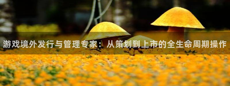 db电竞官网挂机项目怎么样可靠吗：游戏境外发行与管理专家：从策划到上市的全生命周期操作