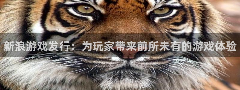 db电竞官网注册平台：新浪游戏发行：为玩家带来前所未有的游戏体验