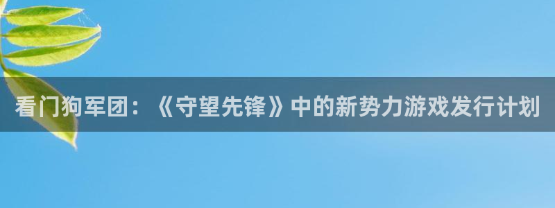 db电竞技术有限公司招聘