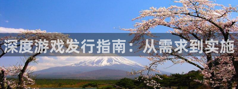 db电竞工坊：深度游戏发行指南：从需求到实施