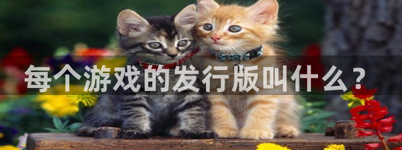 db电竞子上市：每个游戏的发行版叫什么？