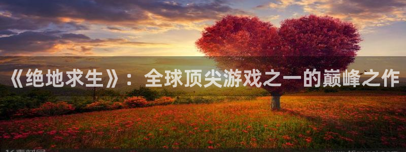 db电竞技术有限公司