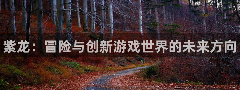 db电竞军团是哪个国家队